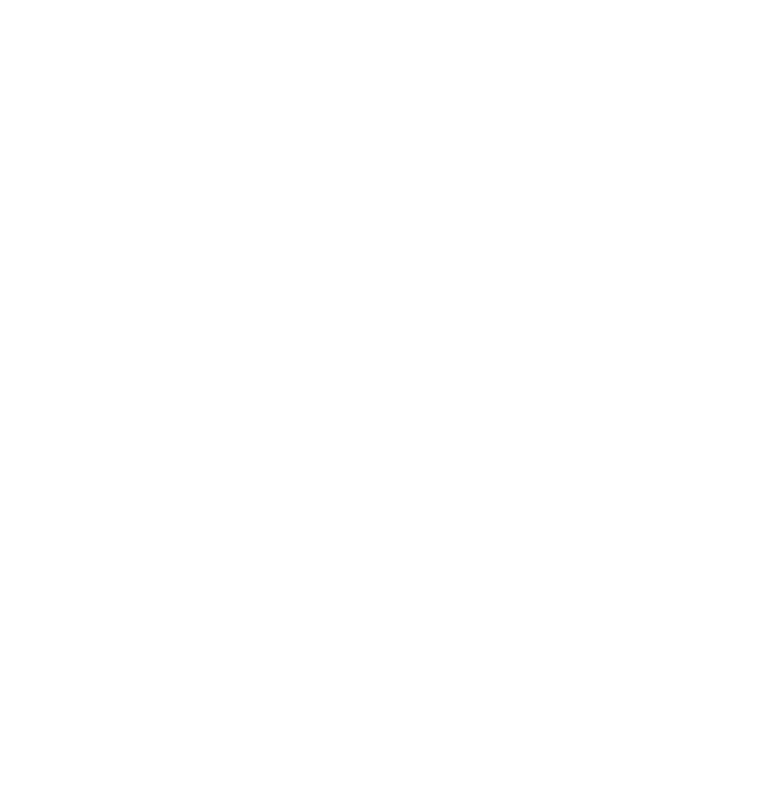 Sriji Group Logo White